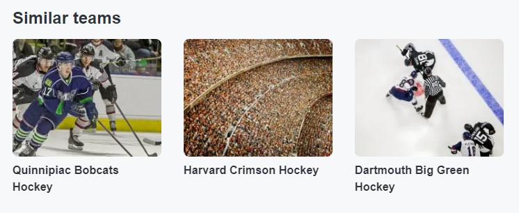 Stubhub harvard hockey 2023-0306.jpg