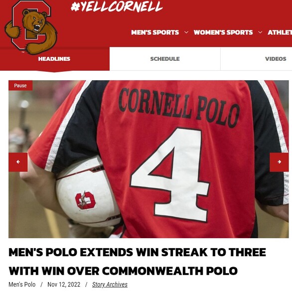 polo.jpg